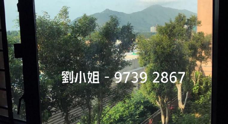 盤源圖片1