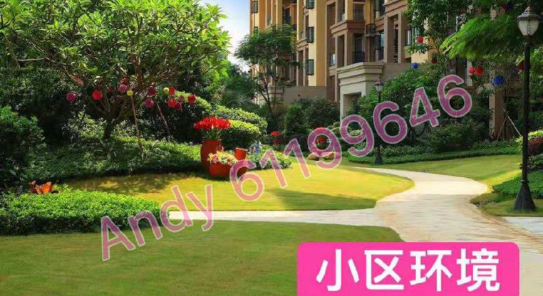 盤源圖片11