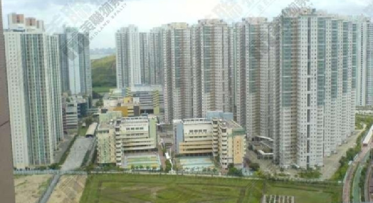 盤源圖片4