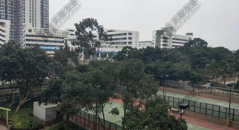 盤源圖片2