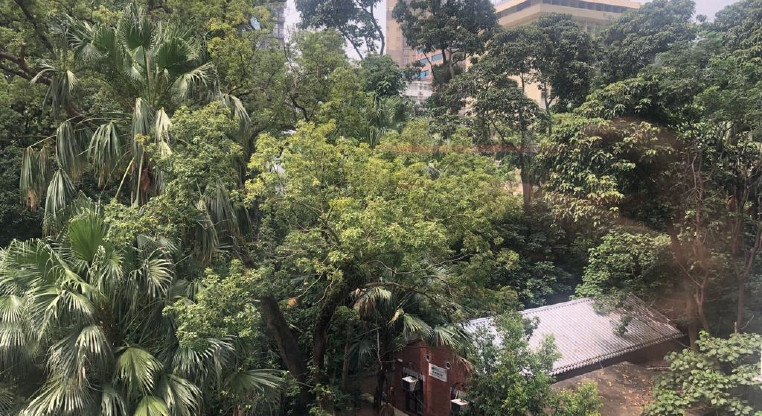 盤源圖片5