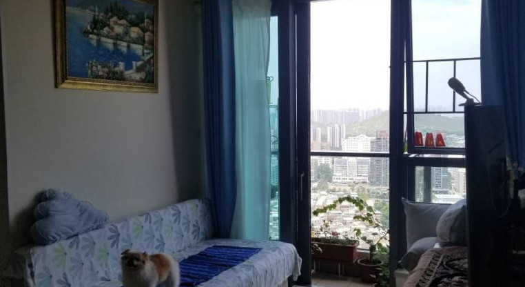 盤源圖片2