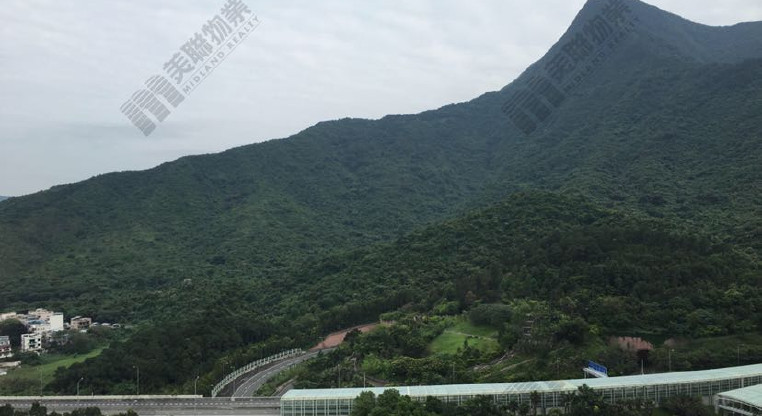 盤源圖片1