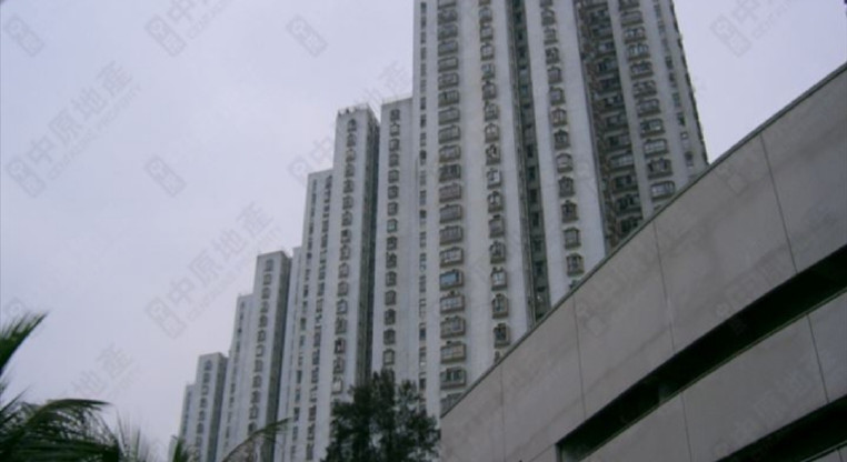 盤源圖片1