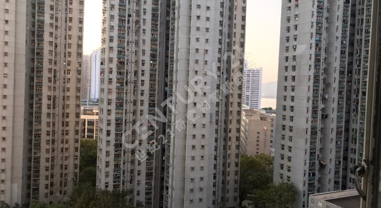 盤源圖片3