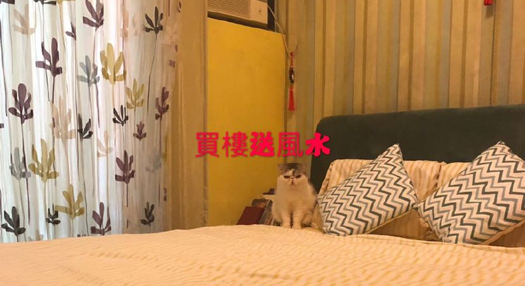 盤源圖片1