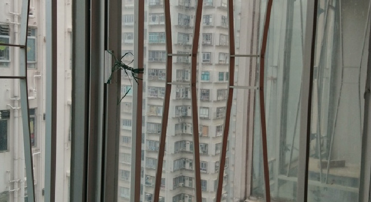 盤源圖片9