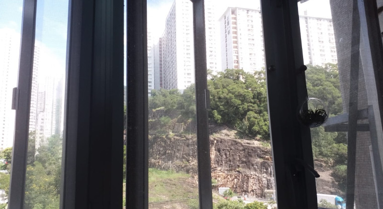 盤源圖片4