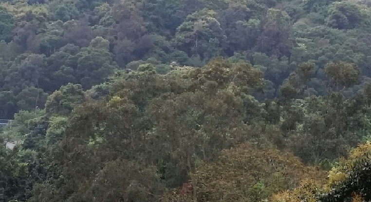 盤源圖片6