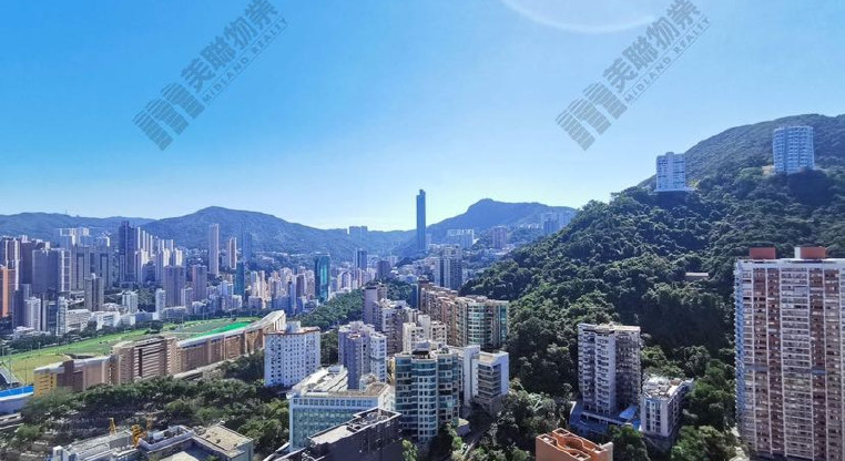 盤源圖片8