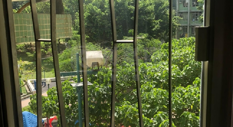 盤源圖片3