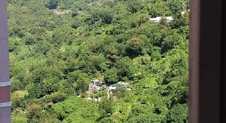 盤源圖片2