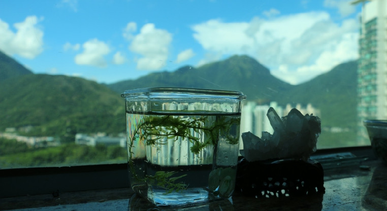 盤源圖片3