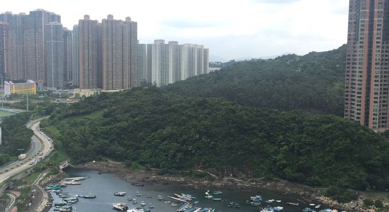 盤源圖片2