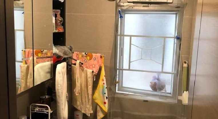 盤源圖片2