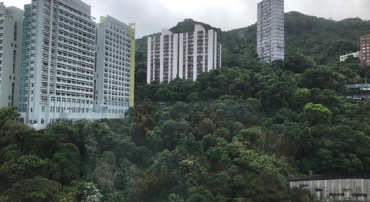 盤源圖片1