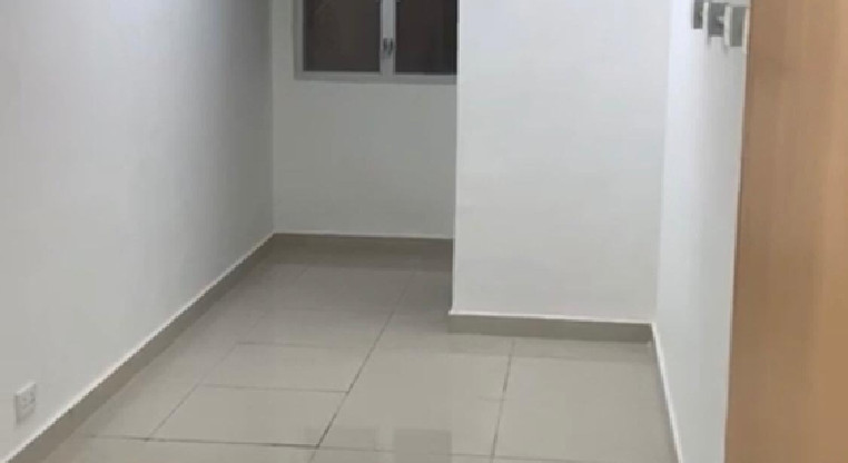 盤源圖片2