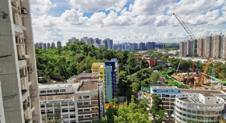 盤源圖片2