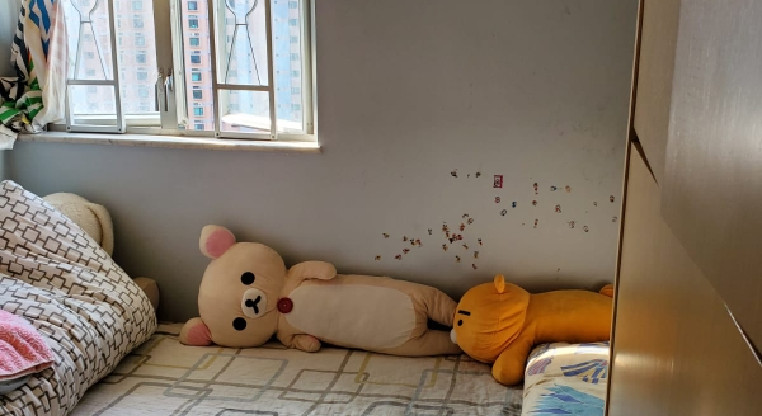 盤源圖片5