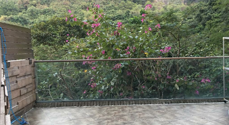 盤源圖片5