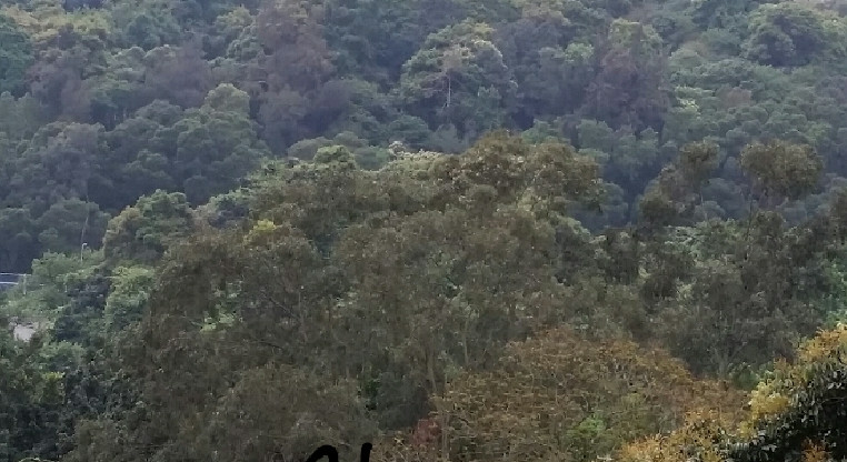 盤源圖片5