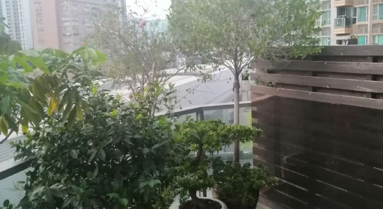 盤源圖片3