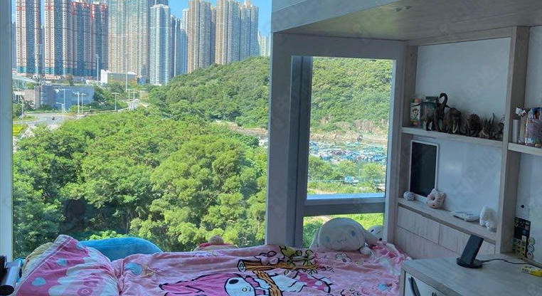 盤源圖片8