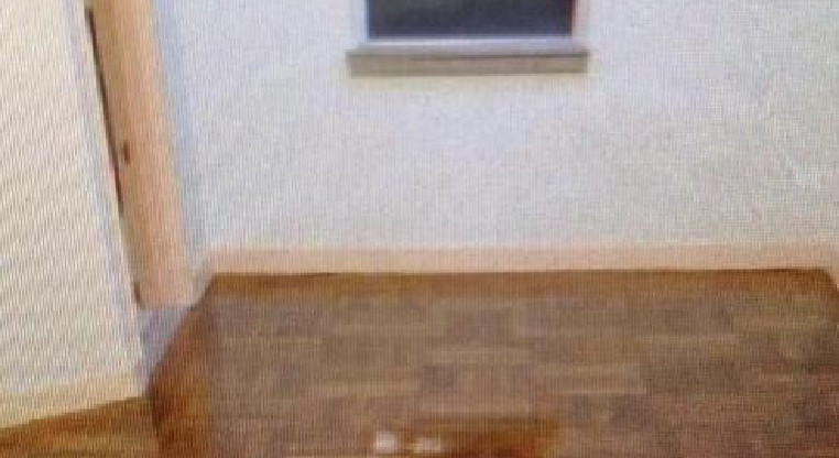 盤源圖片3