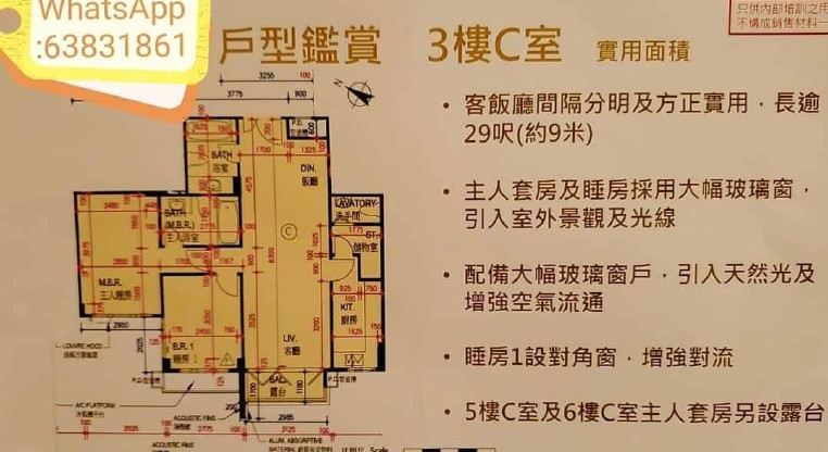 盤源圖片10