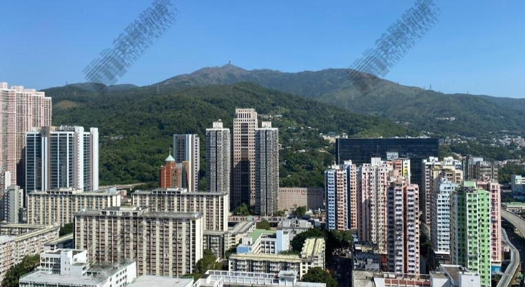 盤源圖片2