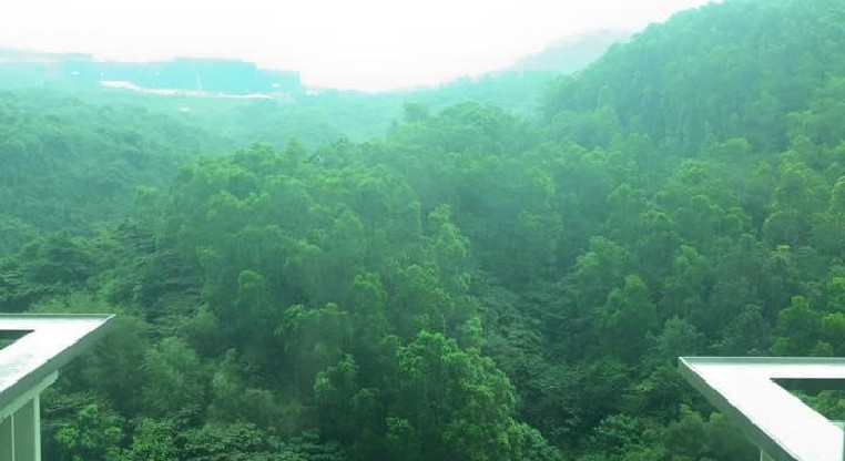 盤源圖片11