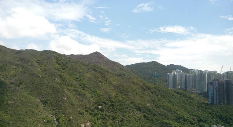 盤源圖片1