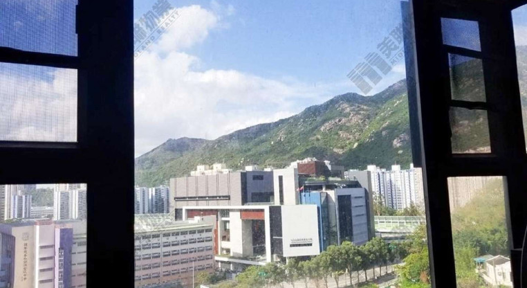 盤源圖片4