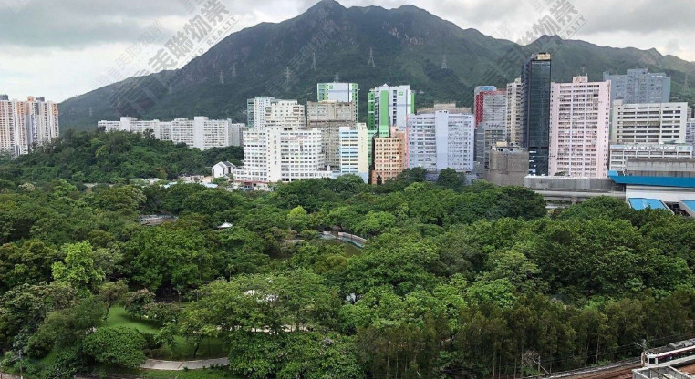 盤源圖片2