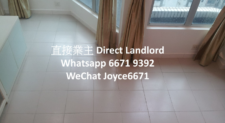 盤源圖片5