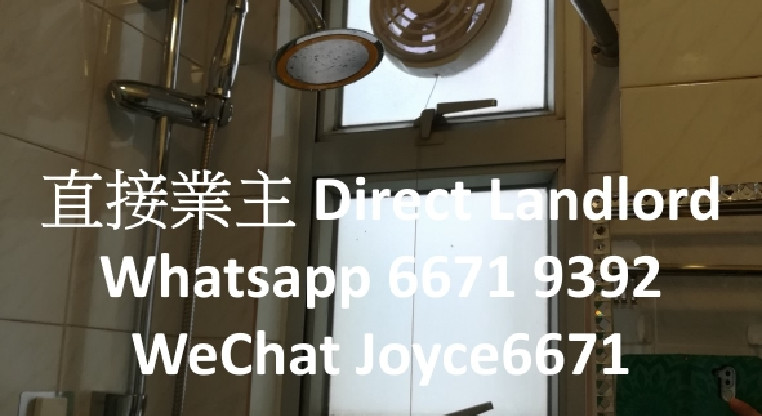 盤源圖片11