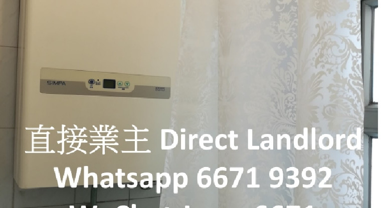 盤源圖片10