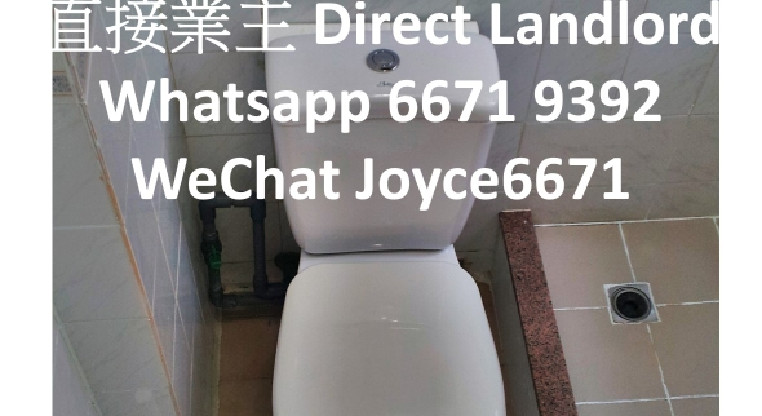 盤源圖片9