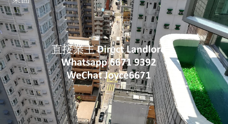 盤源圖片7