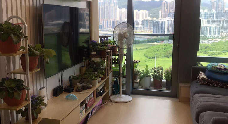 盤源圖片1