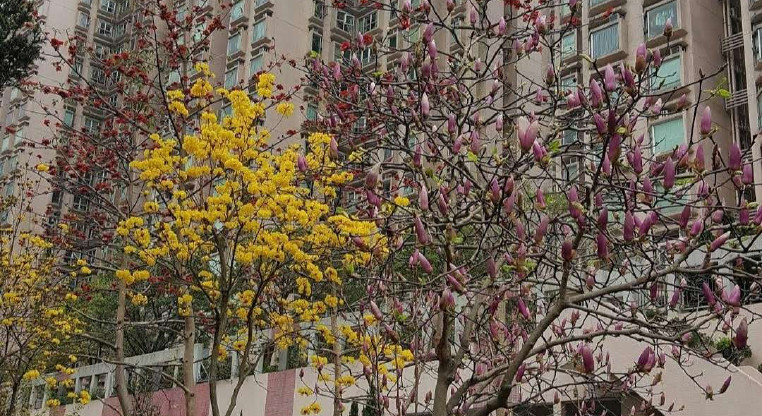 盤源圖片6