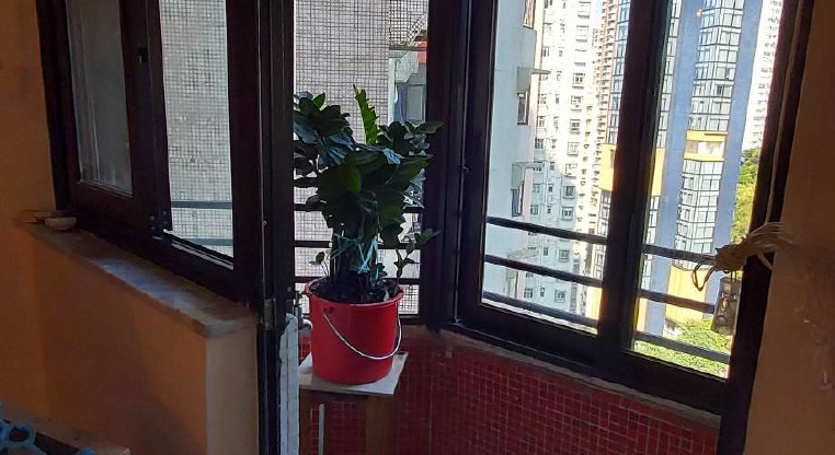 盤源圖片3