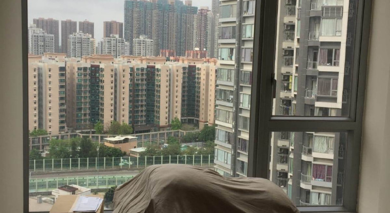 盤源圖片7