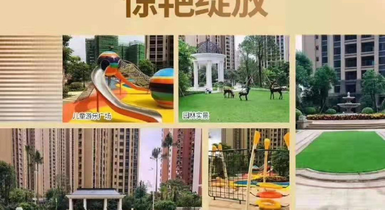 盤源圖片3
