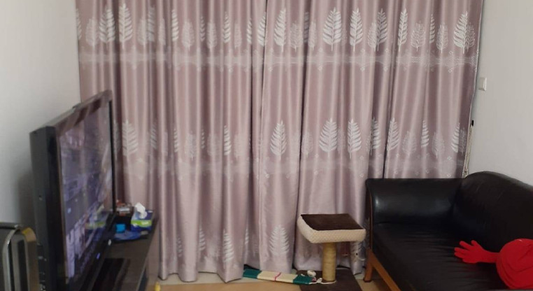 盤源圖片2