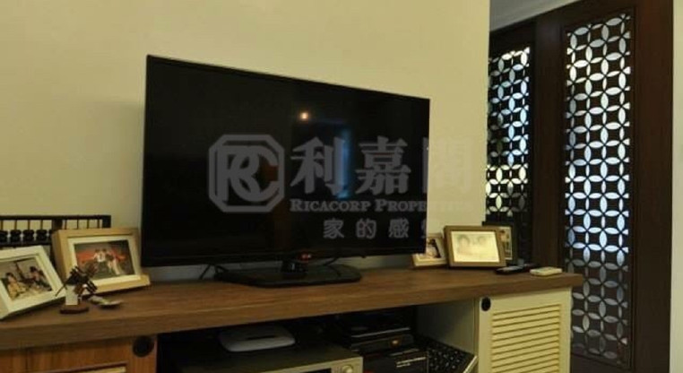 盤源圖片2