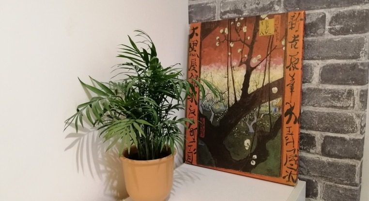 盤源圖片3