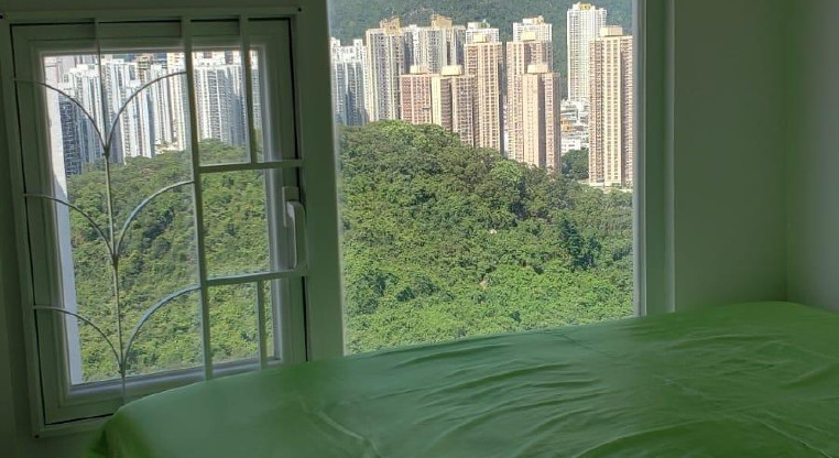盤源圖片12