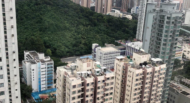 盤源圖片10