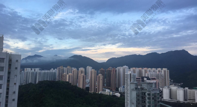 盤源圖片3